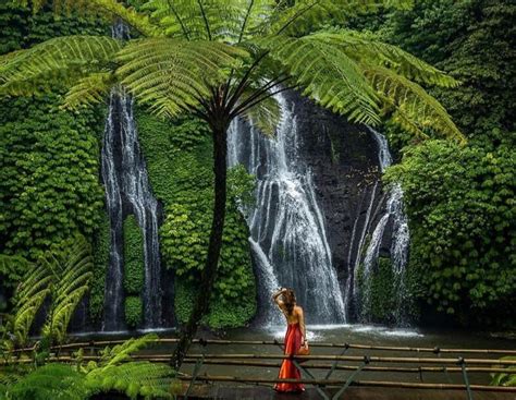 North Bali Ulun Danu Banyumala Waterfall And Jatiluwih Getyourguide