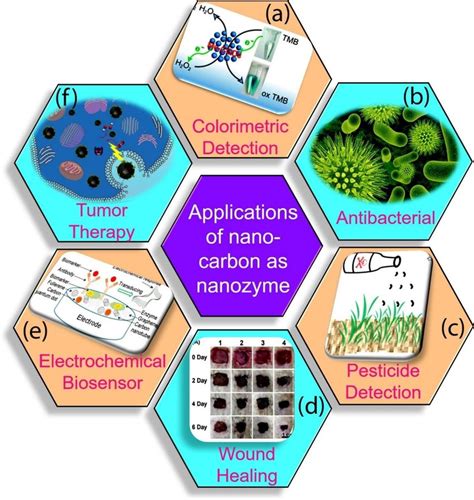 Applications of nano-carbons nanozymes in various fields. (a ...