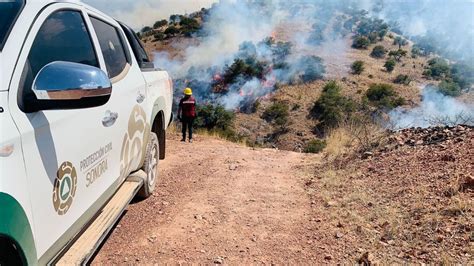 Protecci N Civil Reporta Control Total En Incendio Forestal De Nogales