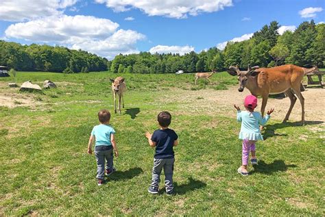 Hoja de Rutas Blog de viajes Viaje a Canadá con niños