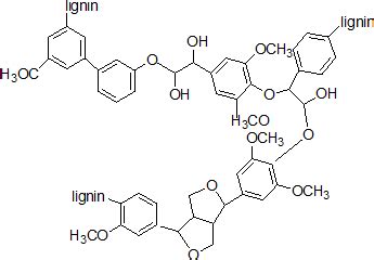 A Representative Of Lignin General Structure Reproduced With