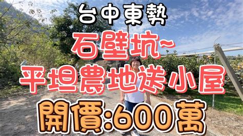 已售出600萬 台中東勢~石壁坑平坦農地送小屋農牧用地地勢平坦送小屋有井水有電低總價休閒渡假退休養生投資置產房地產買賣