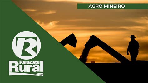 Agronegócio mineiro fecha 2020 o maior volume exportado e a segunda