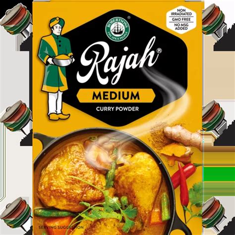 Rajah Curry Powder Medium 100g – African Delights