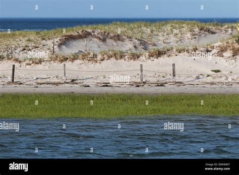 Grass And White Sand Dunes On The Beach On A Hot Summer Afternoon Stock Photo Alamy