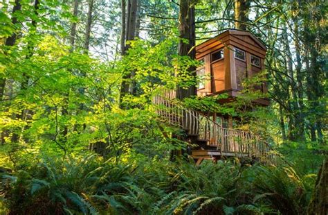 Incredible Tree House Hotels In The U S Huffpost