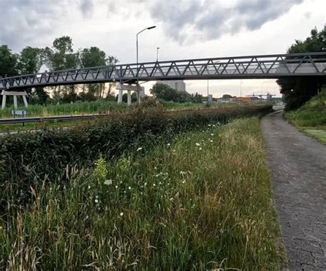 Meierijstad Start Met Aanleg Snelfietsroute Uden Veghel Omroep Meierij