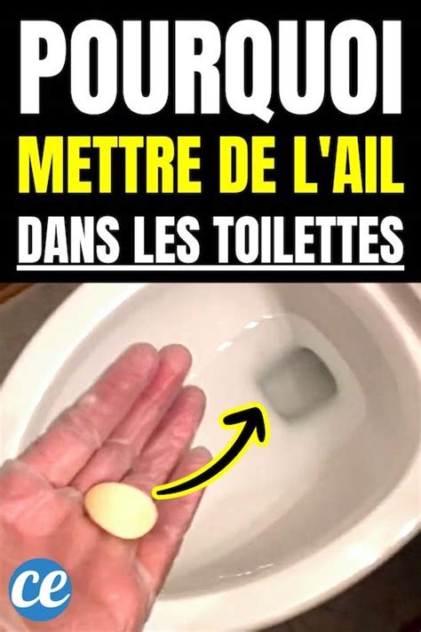 Pourquoi ma Grand Mère Recommande de Mettre de l Ail dans les Toilettes