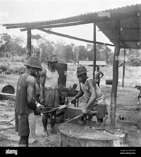 Unité de magazine exploitation forestière au Gabon Photographies des