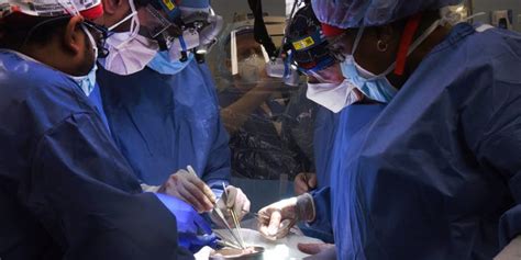 Maryland Man Receives Pig Heart Transplant in Groundbreaking Transplant - Business Insider