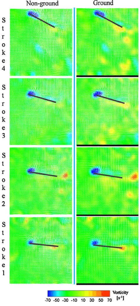 Contours Of The Instantaneous Vorticity Around The Middle Span Of The