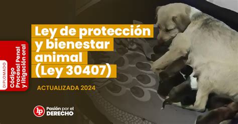 Ley De Protección Y Bienestar Animal Ley 30407 Actualizada 2025 Lp