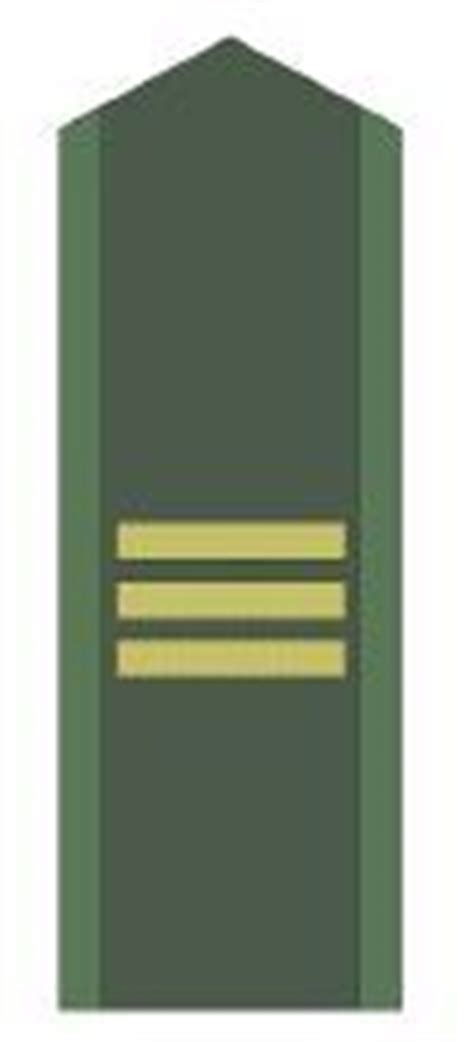 Sweden Swedish Army ranks land ground forces combat field uniforms ...