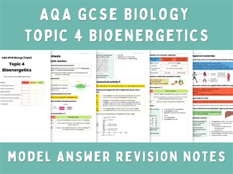 Topic Bioenergetics Concise Revision Notes Flashcards Aqa Gcse