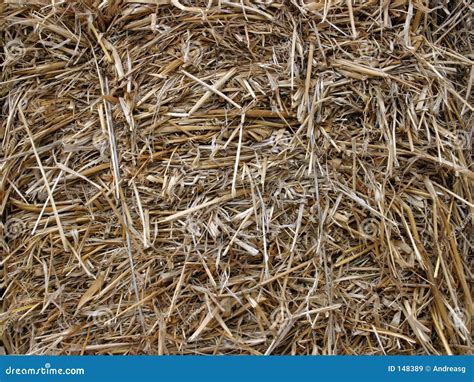 Hay Texture Stock Image Image Of Straw Material Harvest 148389