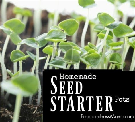 10 Ways to Make Homemade Seed Starter Pots | PreparednessMama