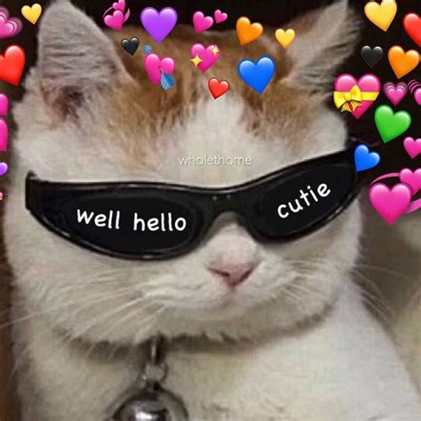 ♥♡｡｡love Memes｡｡♡♥ Cute Love Memes Cute Cat Memes Cat Memes