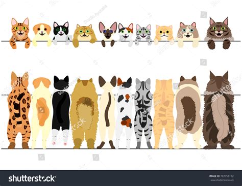 Standing Cats Front Back Border Set Stock Vector Royalty Free