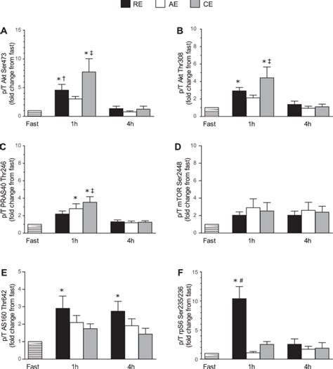 Data Are Ratio Of Phosphorylated To Total Protein Content Of Akt Ser473 Download Scientific