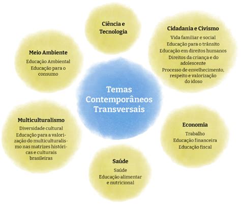 Temas Contemporâneos Transversais Na Educação Infantil LIBRAIN