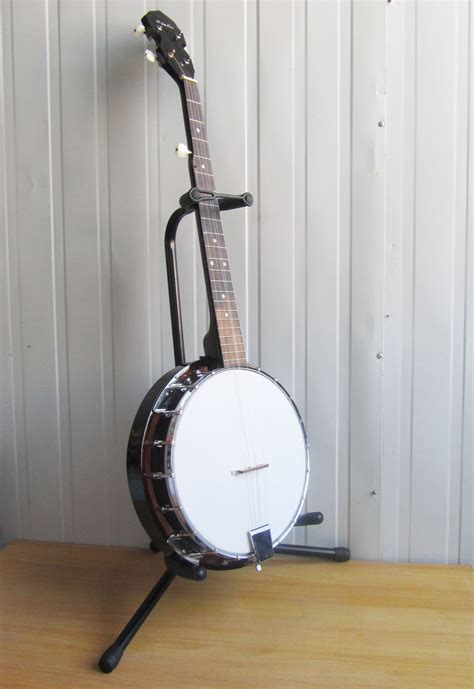 Купить Банджо 5 банджо таблица классов аккорд 5 аккорд сапеле банджо ...