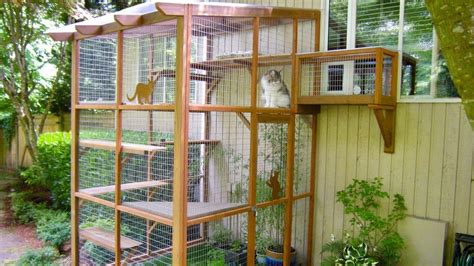 Curious About The Catio Trend Read On To Learn More About Catios And