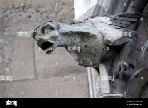 Illustration Of Gargoyle Gargouille At The Church And Cathedral In