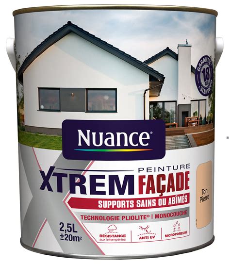 Peinture XTREM Façade Ton pierre Pliolite 2 5L Bricorama