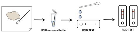 RSID SEMEN Kit For The Detection Of Human Semen By