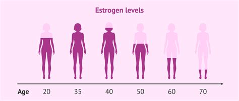 Variation Of Estrogen Levels With Age