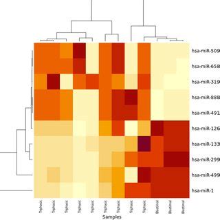 The Heat Map Shows MiRNA With High Expression In Red MiRNA With Low