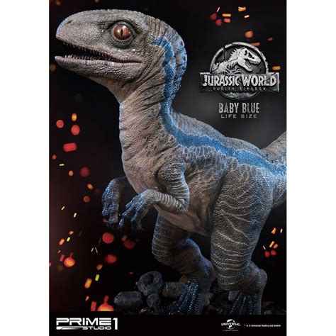 Jurassic World Fallen Kingdom Life Size Statue Baby Blue Cm Nl