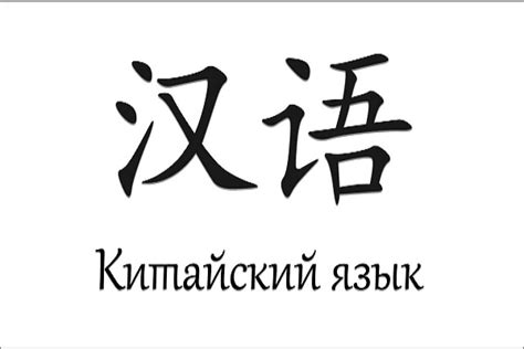 Южный федеральный университет | Пресс-центр: ЮФУ приглашает на курсы ...