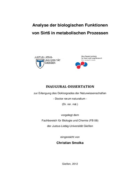 Ausfüllbar Online Analyse der biologischen Funktionen von Sirt6 in