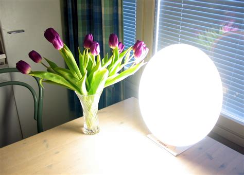 Light Therapy Wikidoc
