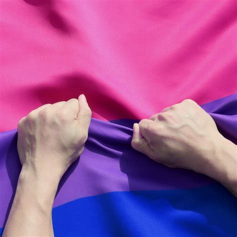 Anley Rip Proof Technology Double Sided 3 Ply Bisexual Flag 3x5 Foot