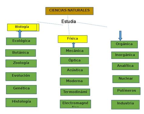 Mapa Conceptual De Ciencias Naturales Pptx Relaciones Hot Sex Picture