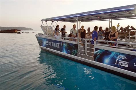 Tangalooma Marine Discovery Day Cruise With Bus Transfers From Brisbane