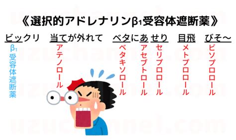 【ゴロ】選択的アドレナリンβ₁受容体遮断薬 ゴロナビ〜薬剤師国家試験に勝つ〜