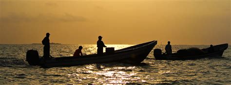 Día Del Mar La Riqueza Pesquera De Tabasco Representación