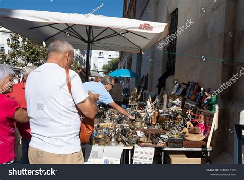 Cadiz Spain 4th September 2022 Flea Stock Photo 2210616355 Shutterstock