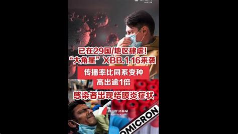 国内检出多例xbb116，感染者出现结膜炎结膜炎感染者变种新浪新闻