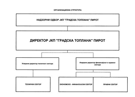 Организациона структура, радне биографије – ЈКП ГРАДСКА ТОПЛАНА ПИРОТ