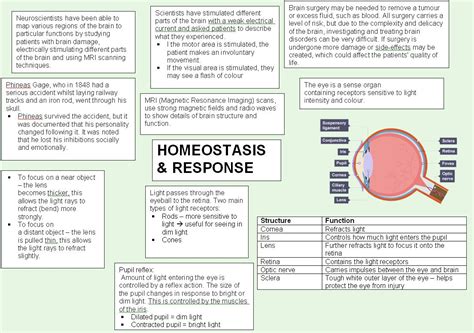 Gcse Past Papers Aqa Biology