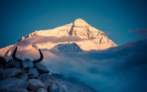 The Sunrise of the Mount Everest in Tibet Stock Photo - Image of china ...