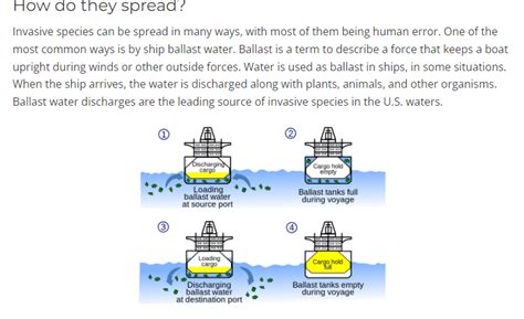 ballast flora : r/Barotrauma