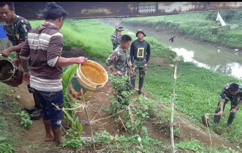 Satgas Citarum Sektor 21 03 Tanam Pohon Sambung Nyowo Di Bantaran