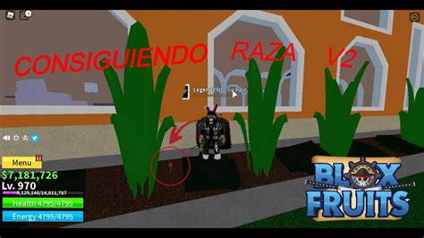 COMO EVOLUCIONAR A RAZA V2 MÉTODO ACTUALIZADO BLOX PIECE BLOX FRUIT