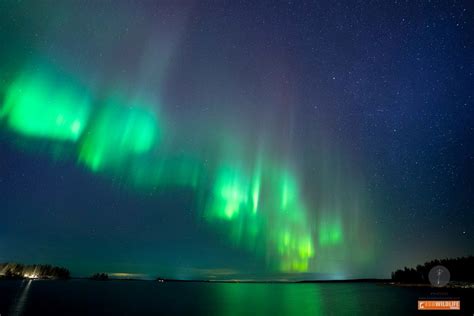 Suecia Auroras Boreales En Laponia