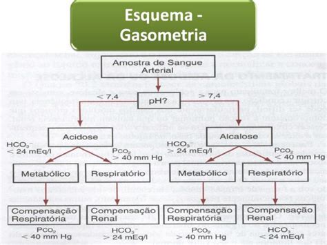 Esquema Gasometria Enfermagem Medicina